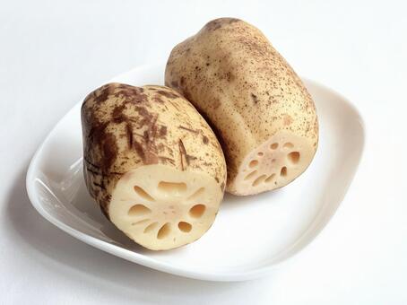 れんこん れんこん,蓮根,はすの写真素材