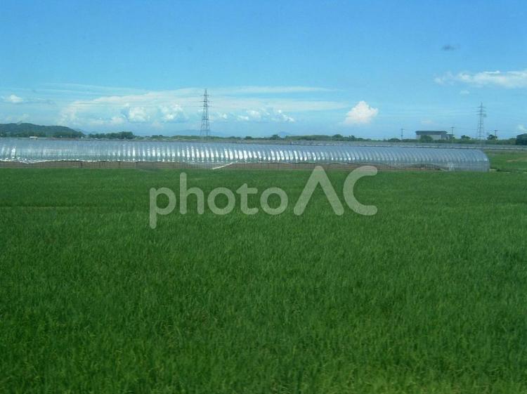 田舎の田園風景 田園,風景,ビニールハウスの写真素材