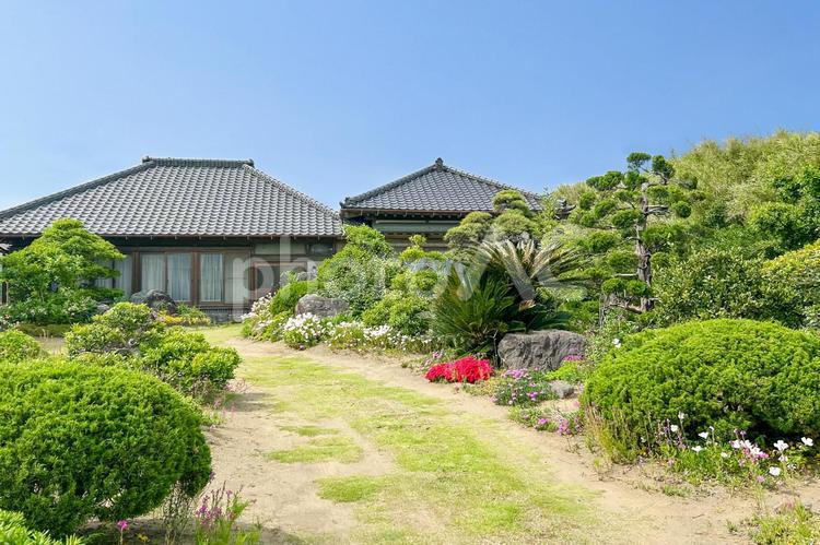緑豊かな木々に囲まれた広い庭が美しい民家 日本家屋,民家,和風建築の写真素材