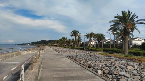 ランロード ランロード 馬堀海岸,石畳,景色の写真素材