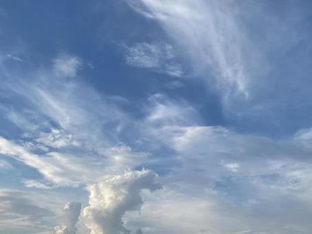 夏の午後 夏の午後の写真