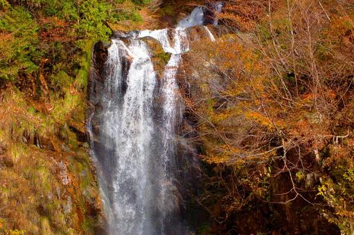 紅葉の岐阜県 天生の三滝(中滝) 紅葉の岐阜県 天生の三滝(中滝)の写真