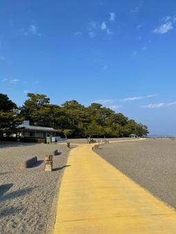 桂浜公園 桂浜公園 桂浜,桂浜公園,高知の写真素材