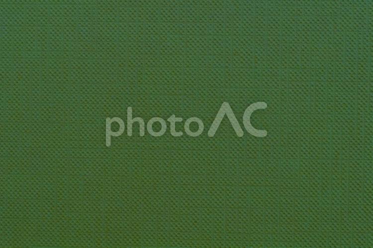 常緑のぽこぽこ背景　エバーグリーン　深緑 深緑,常緑,濃いの写真素材