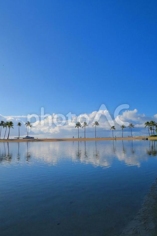 ハワイの風景（52）水鏡に写る風景 ハワイ,青空,ヤシの木の写真素材