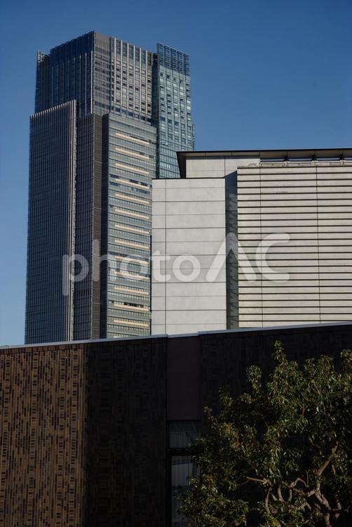 六本木の街並 六本木,ビル,高層ビルの写真素材