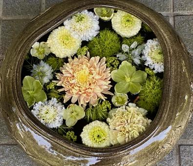 花手水　花アート　手水舎　花々 花手水,花アート,花々の写真素材