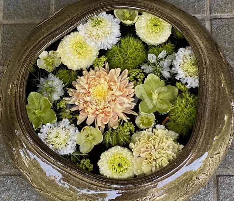 花手水　花アート　手水舎　花々 花手水,花アート,花々の写真素材
