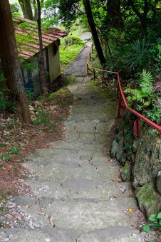 国分一宮諏訪神社(21) 国分一宮諏訪神社(21) 神社,国分一宮諏訪神社,神社仏閣の写真素材