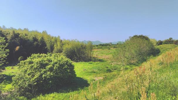 新緑の河川敷#03 新緑の河川敷#03の写真