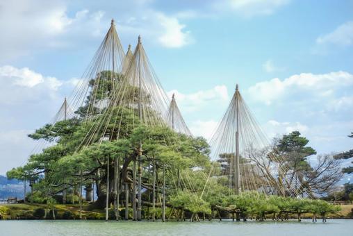 兼六園 唐崎松と雪吊り（石川） 兼六園,唐崎松,雪吊りの写真素材