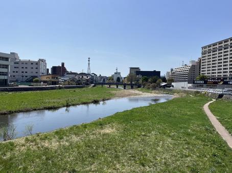 川 川 春,フラワー,flowerの写真素材