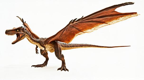 ディモルフォドンのイメージ2 ディモルフォドンのイメージ2の写真