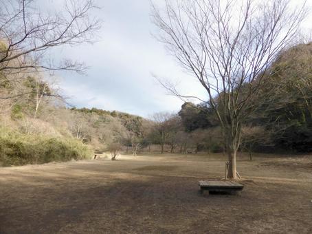 人影の無い早春の鎌倉中央公園・芝生広場 公園,広場,空き地の写真素材