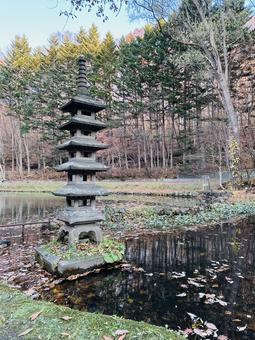 秋の景色の写真