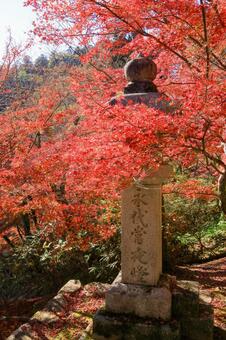 長谷寺 長谷寺,ならたび,紅葉の写真素材