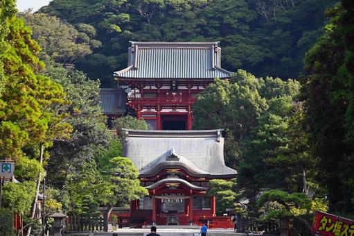 鎌倉の鶴岡八幡宮 鎌倉の鶴岡八幡宮 鎌倉,神奈川県,鶴岡八幡宮の写真素材