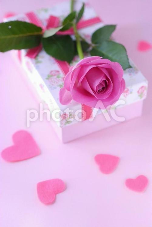 薔薇とギフトボックス ハート,バレンタイン,ピンクの写真素材