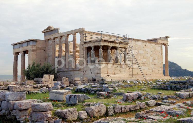 ギリシャ　アテネ　エレクティオン神殿 ギリシャ,アテネ,エレクティオン神殿の写真素材