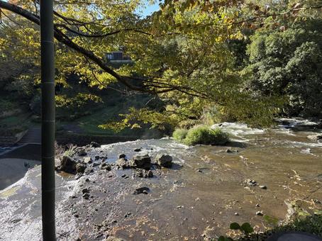秋の風景 風景,景観,川の写真素材