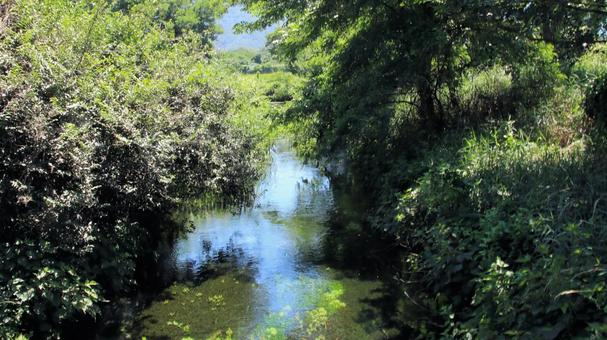 夏の安曇野 田園地帯を流れる清らかな流れ 夏の安曇野 田園地帯を流れる清らかな流れの写真