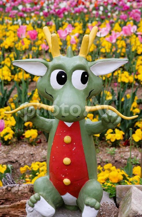 ４月下旬のまんのう公園のチューリップ畑 チューリップ,畑,カラフルの写真素材