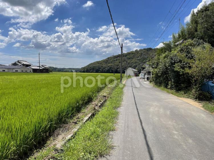 古き良き田園風景 田舎,夏,風景の写真素材