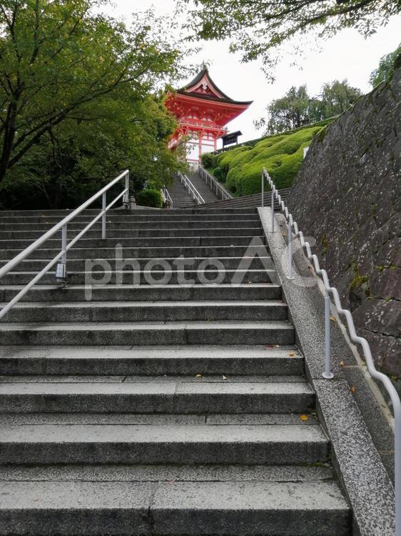 清水寺　階段　朝7時　 清水寺,階段,朝7時の写真素材