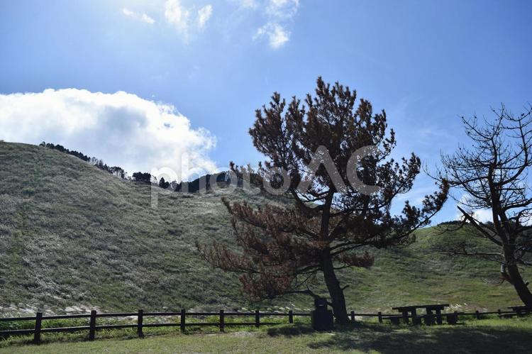 【奈良】曽爾高原の風景 曽爾高原,曽爾村,高原の写真素材
