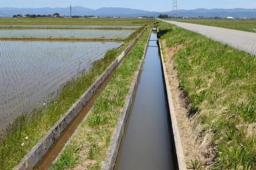 農業用水路 山形県庄内 農業用水路,用水路,農業用水の写真素材