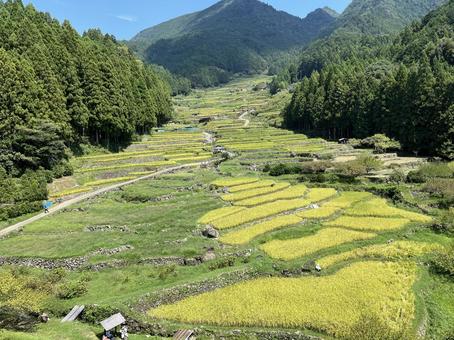 四谷の千枚棚田 四谷の千枚棚田の写真