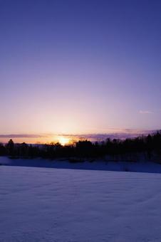 朝焼けと雪原 雪景色,縦,空の写真素材