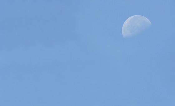 夏空の月3 夏空の月3の写真