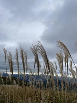 ススキの高原 秋,空,ススキの写真素材
