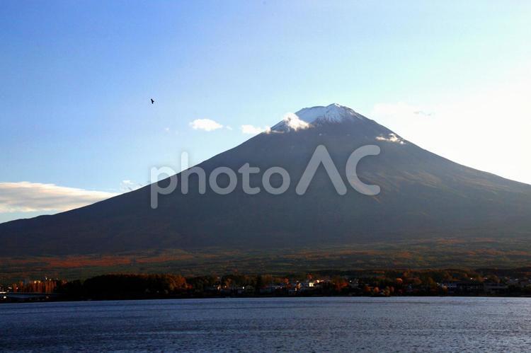 河口湖に浮かんだような富士山 屋外,空,青空の写真素材