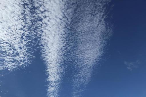 青空 青空の写真