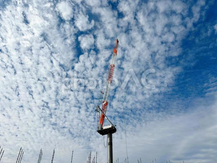 建設現場のタワークレーンとうろこ雲の空 クレーン,タワークレーン,建設の写真素材