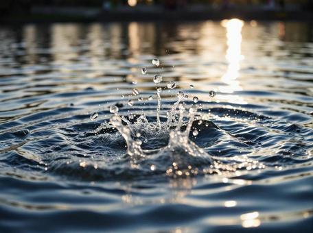水滴 水滴の写真