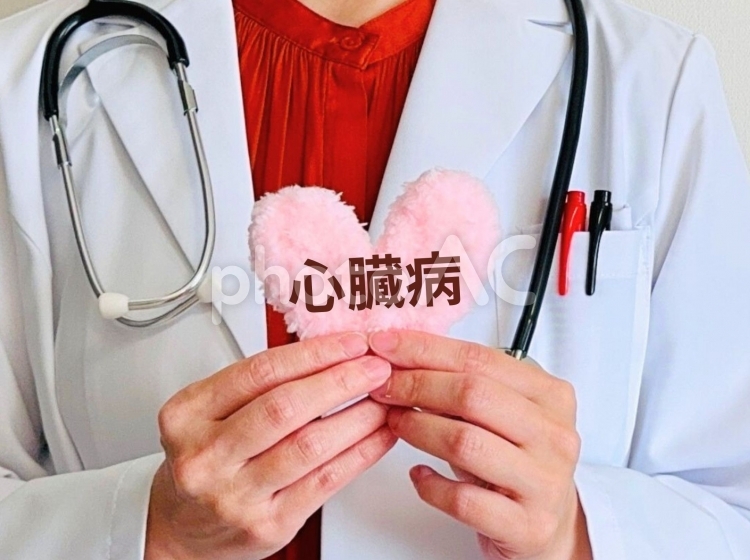 心臓病と書かれたハートを持つ女医 心臓病,ドクター,ハートの写真素材