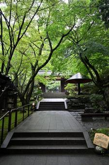 佐渡金山 佐渡金山の写真