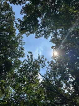 夏 空イメージ 夏 空イメージの写真