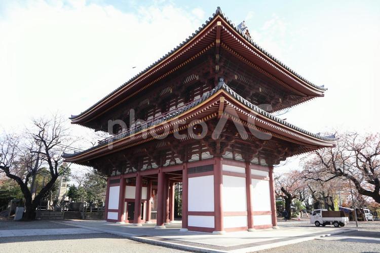 池上本門寺　仁王門 パワースポット,仁王門,名所の写真素材