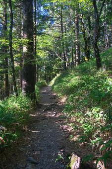 大台ヶ原の風景 大台ヶ原の風景 大蛇嵓,断崖絶壁,正木ヶ原の写真素材