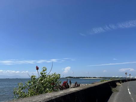 海岸線をドライブ 知多半島 海岸線をドライブ 知多半島の写真