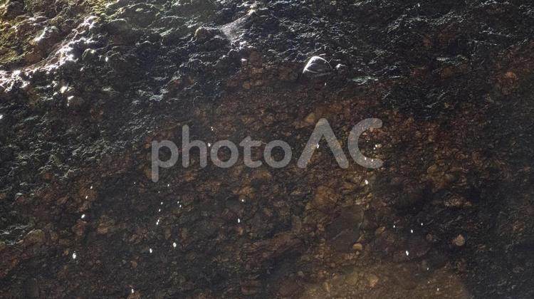 岩肌を流れ落ちる水滴 水滴,水,流水の写真素材