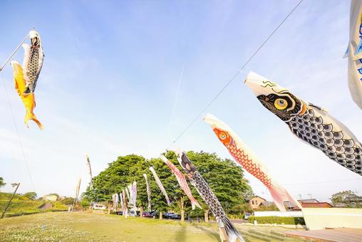 沢山の鯉のぼり 沢山の鯉のぼりの写真