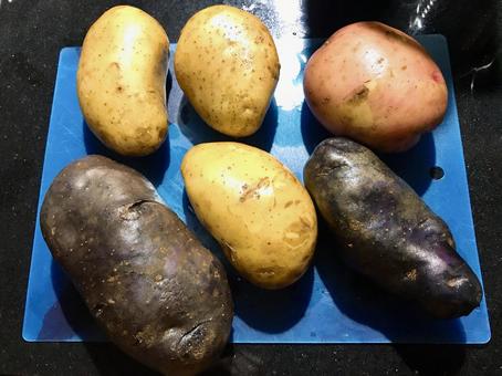 Potatoes, JPG Potatoes, JPG