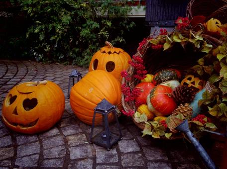 ハロウィーンの写真