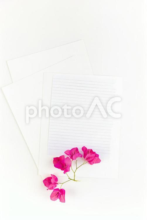 ノートの1ページと画用紙とピンクの花 モックアップ,物撮り,紙の写真素材