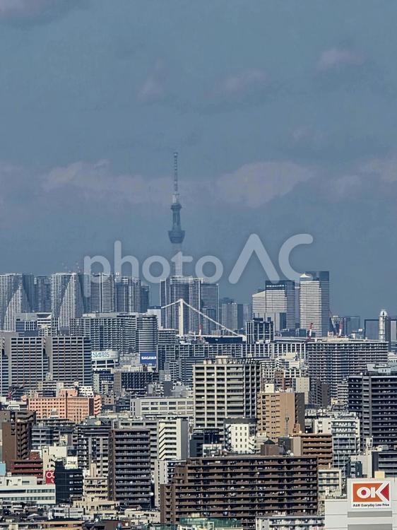 風景　川崎市役所　展望ロビーより　北側 建物,神奈川県,川崎市の写真素材